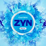 ZYN Cool Mint Regular 11 mg, nikotinové sáčky
