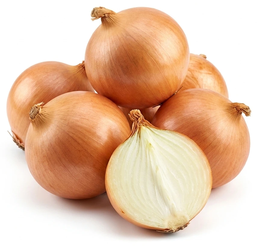 Cibule kuchyňská žlutá