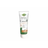 Bio Bione Cannabis balzám na ruce 205ml