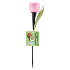 Progarden Solární světlo tulipán