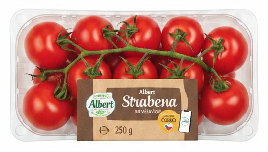 Albert Rajčata Strabena na větvičce