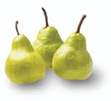 Hrušky Packham volné