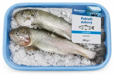 Pstruh duhový