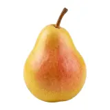 Hruška Xenia