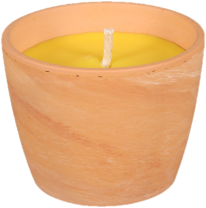 Svíčka proti hmyzu CITRONELLA obal GUZMANIA 250g d10x8cm
