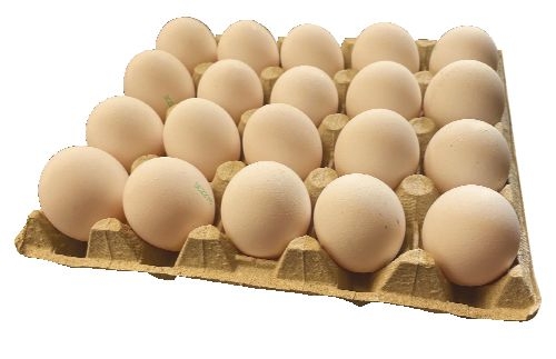 Vejce L20 podestýlka