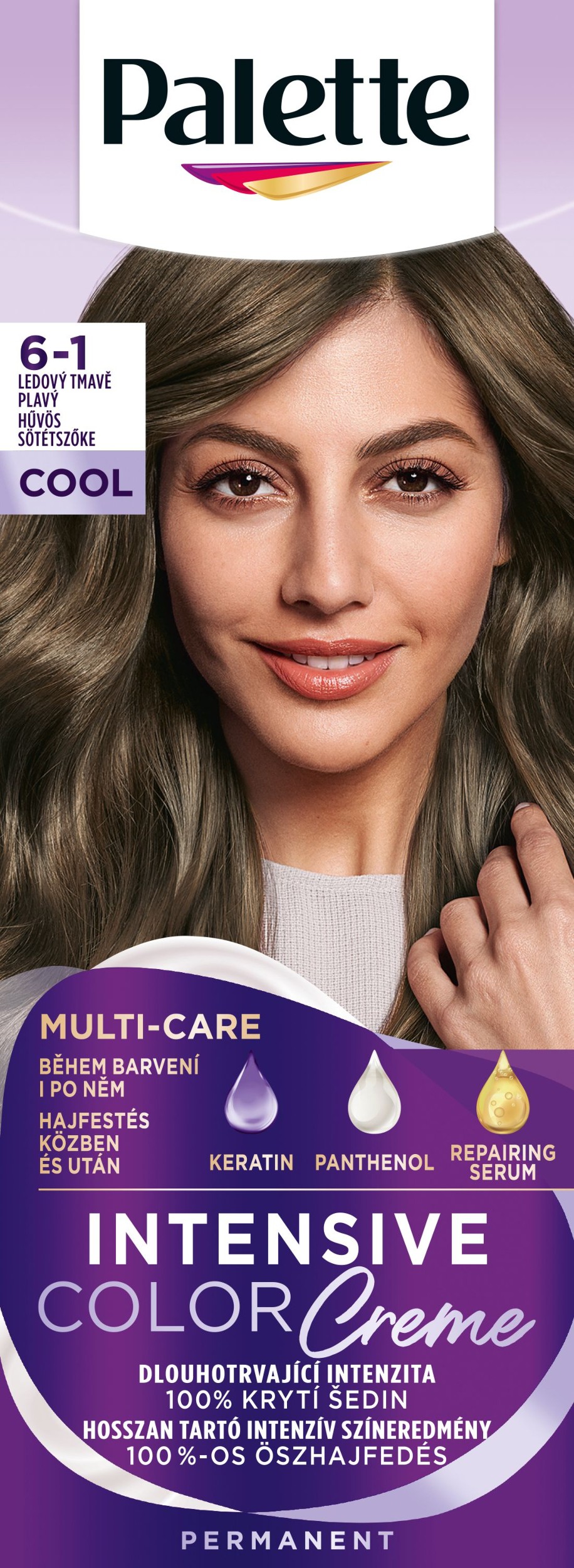Palette ICC 6-1 Ashy Dark Blonde 50 ml