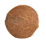 Kokosový ořech 400 g čerstvý 1 ks