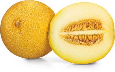 Meloun cukrový Gal čerstvý váž. cca 800 g