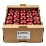Jablka Red Delicious 70/75 I. 6,5 kg