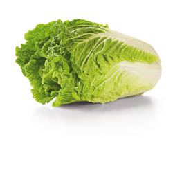 Zelí čínské čerstvé váž. cca 1 kg