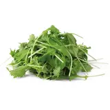 METRO Chef Salát Mizuna zelená 125 g
