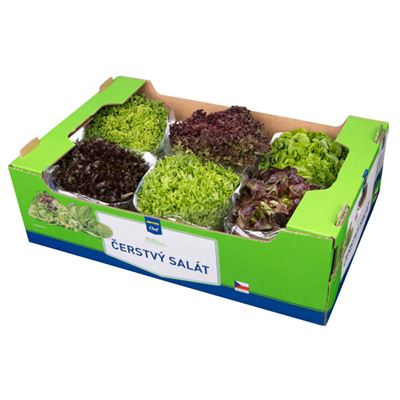 METRO Chef Salát mix 1200 g+ I. CZ čerstvý 6 ks