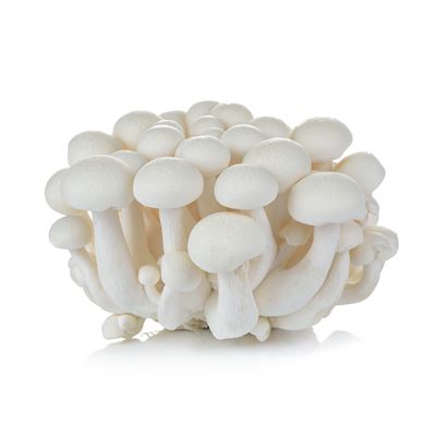 Shimeji bílé čerstvé 150 g