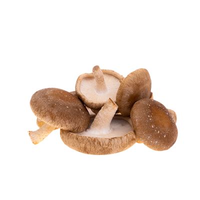 HOLOUBEK A PRAVNUCI Shiitake čerstvá CZ 200 g vanička