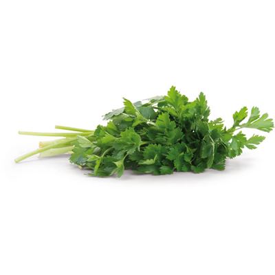 METRO Chef Petržel hladkolistá 100 g