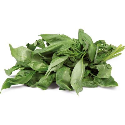METRO Chef Bazalka čerstvá 1 kg