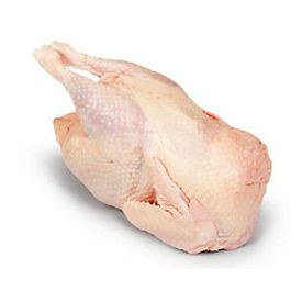Slepice chlaz. váž. cca 1,2 kg