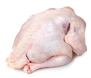 Krůta celá CZ chlaz. váž. cca 5 - 8 kg