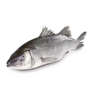 METRO Chef Vlk mořský chorvatský ASC chlaz. váž. 500 - 700 g
