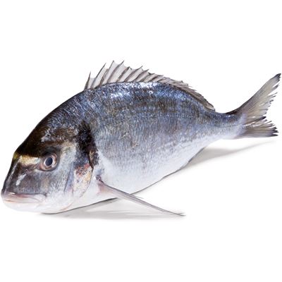 METRO Chef Pražma královská chorvatská ASC chlaz. váž. 330 - 500 g