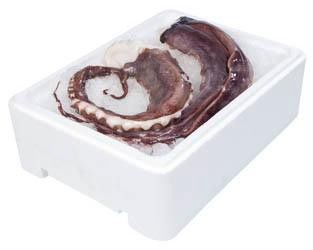 Kalamár peruánský chapadla chlaz. váž. cca 200 - 600 g