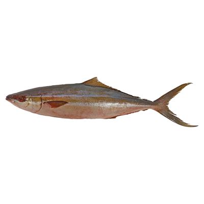 Kranas americký chlaz. cca 0,8 - 1,3 kg