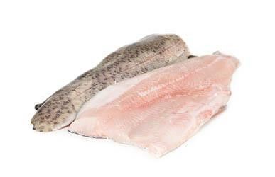 Pstruh duhový lososovitý filet chlaz. váž. 1x cca 150-400 g
