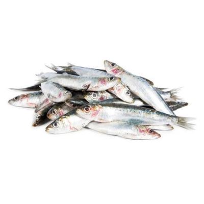 Sardinka obecná chlaz. váž. 32-34 ks/kg
