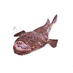 Ďas mořský s hlavou chlaz. váž. cca 4 kg+