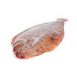 Jazyk mořský chlaz. váž. cca 1 kg+
