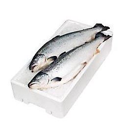 Losos obecný arktický ASC chlaz. váž. cca 4 - 5 kg