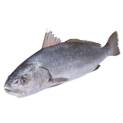 Smuha královská ASC chlaz. váž. cca 3 - 4 kg