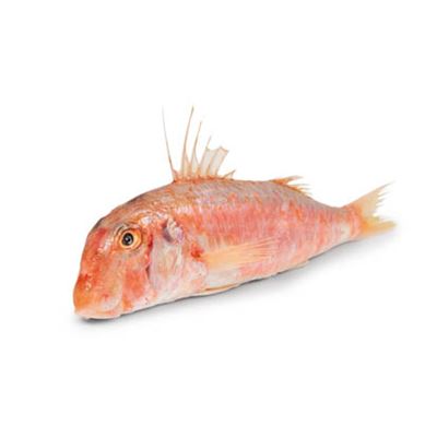 Parmice nachová nekuchaná chlaz. váž. cca 200 - 300 g
