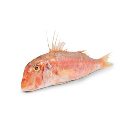 Parmice pruhovaná nekuchaná chlaz. váž. cca 200 - 300 g
