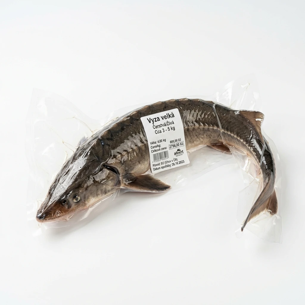 Vyza velká živá cca 3 - 5 kg