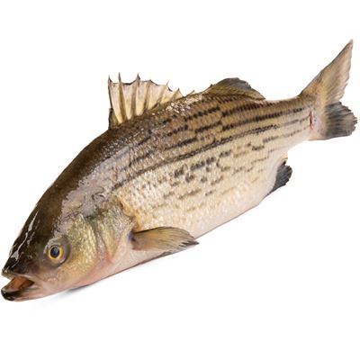 Mořčák stříbřitý kuchaný chlaz. váž. 700 g+