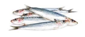 Sardinka obecná chlaz. 20/125 g