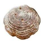 Chléb Krusta kváskový nebalený 680 g