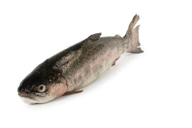 Pstruh kuchaný 200-250 g/ks mraž. 5 kg