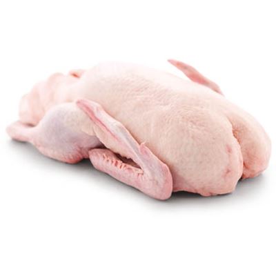 Kachna s droby mraž. 2,4 kg