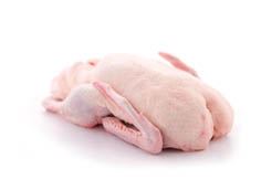 Kachna bez drobů mraž. 2 kg