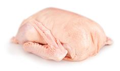 Husa s droby mraž. 4,8 kg