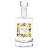R. JELÍNEK BLN BIO Lemon Gin 41 % 500 ml