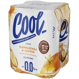 Cool Mind mandarinka zázvor 24 x 500 ml
