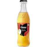 Cappy Jablko 100 % džus 24 x 250 ml vratná láhev