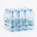 NATURA Voda neperlivá 12 x 500 ml