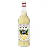 MONIN Le Mixeur Piňa Colada 1 l
