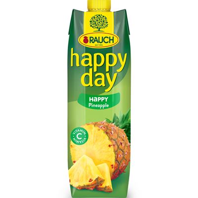 RAUCH happy day Ananas 35 % 1 l