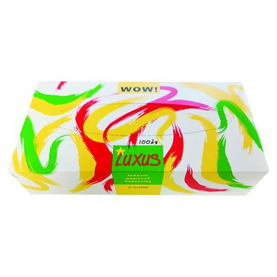 Kapesníky papírové 2vrstvé 5 x 100 ks box